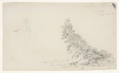Evergreen Tree Near the Shore with a Detail of the Lighthouse and a House, Mount Desert, Maine by Frederic Edwin Church