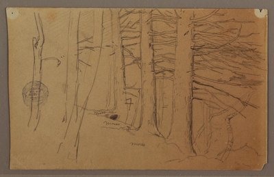 Lower Parts of a Group of Trees Growing on a Slope by Frederic Edwin Church