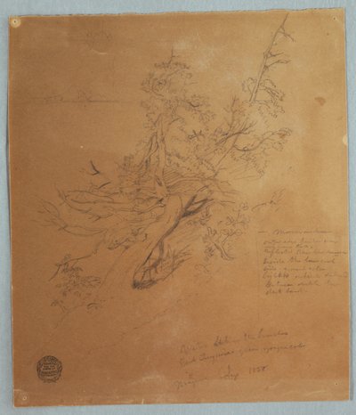 Rugged Tree at the Canadian Bank below Niagara Falls by Frederic Edwin Church