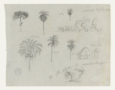 Sketches from the Rio Magdalena, Colombia. Botanical Sketches. A Church. by Frederic Edwin Church
