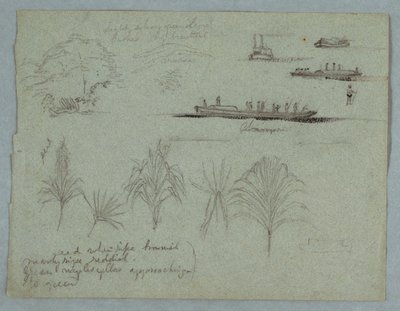 Sketches from the Rio Magdalena, Colombia: Plants, Steamer, and a Champan by Frederic Edwin Church