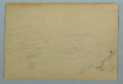Sketches of Plants and of Part of the Balustrade Bordering the Terrace at the Inn at Guaranda, Ecuador by Frederic Edwin Church