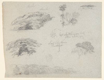 Trees, Tree Tops, and a Wooded Bank, Saddleback, Maine by Frederic Edwin Church
