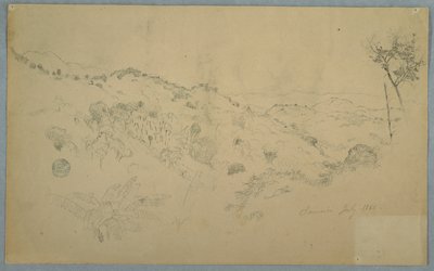 Wooded Vale with a Large Fern and Distant Mountain Ranges, Jamaica by Frederic Edwin Church