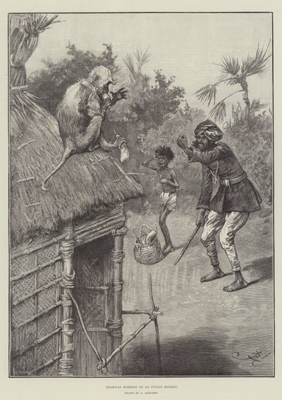 Highway Robbery by an Indian Monkey by Frederick Barnard