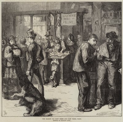 The Market for Dogs