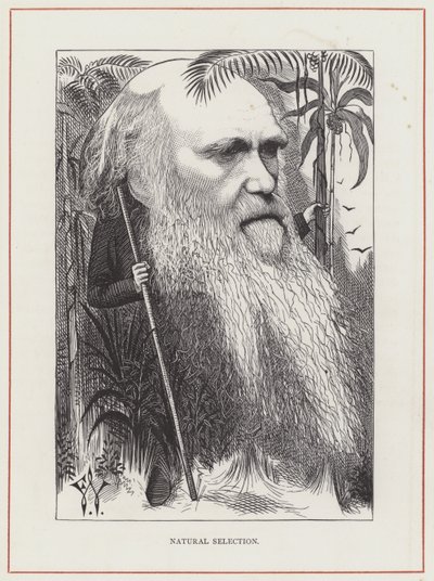 Charles Darwin, Natural Selection by Frederick Waddy