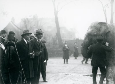 An Indian Elephant, Possibly Sundermalah, Taking Part in an Outside Broadcast from London Zoo, 1925 by Frederick William Bond
