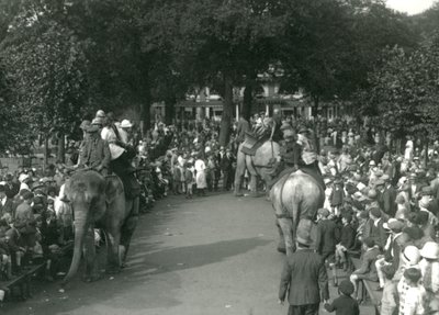 Elephant Rides, with Three Asiatic Elephants Watched by Crowds of Onlookers at London Zoo in August 1926 by Frederick William Bond