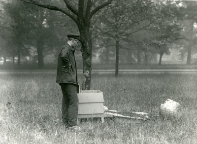 Keeper Brown Moving a Swarm of Honey Bees, London Zoo, July 1926 by Frederick William Bond