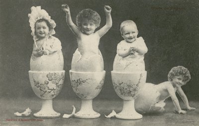Babies hatching from eggs in eggcups by French Photographer