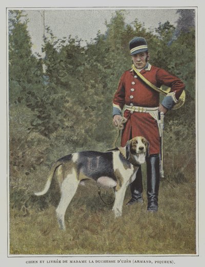 Hound and huntsman in the livery of the hunt of the Duchess of Uzes, France by French Photographer
