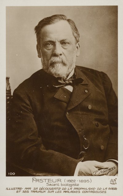 Louis Pasteur (1822-1895), French chemist and microbiologist by French Photographer