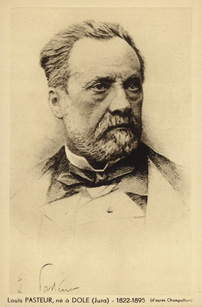 Louis Pasteur (1822-1895), French chemist and microbiologist by French Photographer