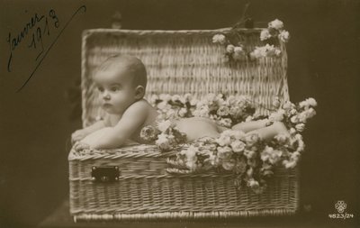Baby in a Wicker Basket with Flowers by French Photographer