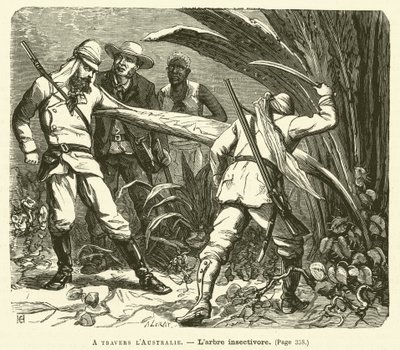 Across Australia (engraving) by French School