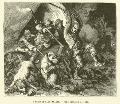 Across Australia (engraving) by French School