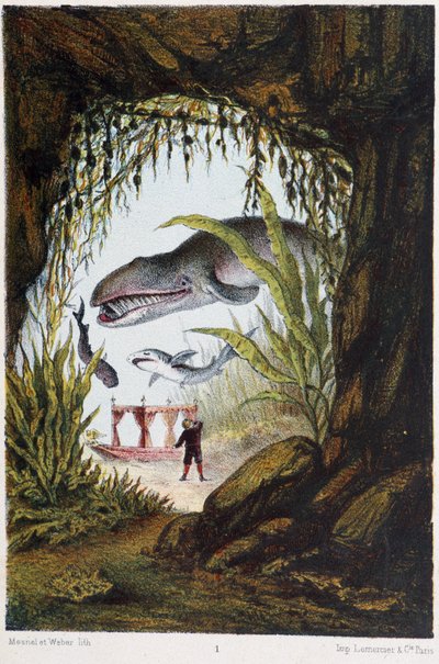 A Boy Under the Sea with a Whale and a Shark - in “Journey to the Bottom of the Sea” by H. de la Blanchère. Paris, ed. Jouvet et Cie, sd. 1880 by French School