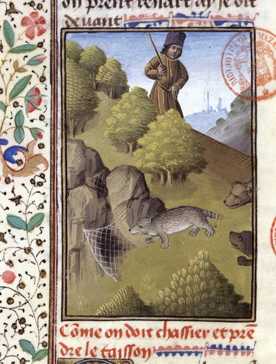Badger Hunt - in Hunting Book of Gaston Phoebus, Count of Foix, Lord of Béarn by French School