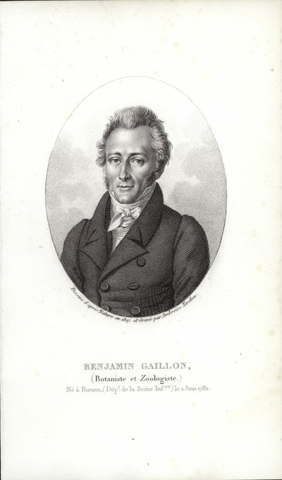Benjamin Gaillon by French School