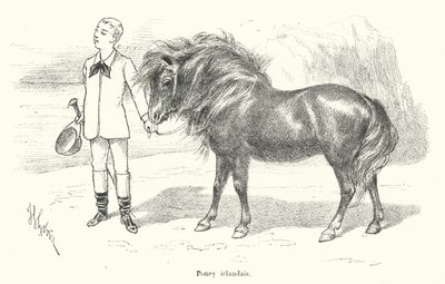 Boy with an Irish Pony by French School