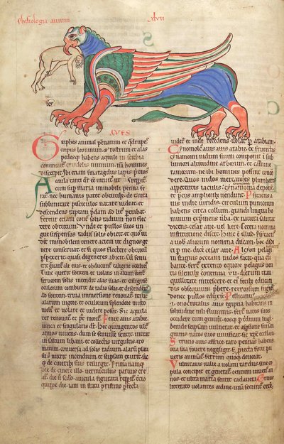 A Griffin Devouring a Man, from Liber Floridus by Lambert de Saint-Omer c.1120 by French School