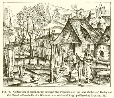 Cultivation of Grain in Use Amongst the Peasants, and the Manufacture of Barley and Oat Bread by French School