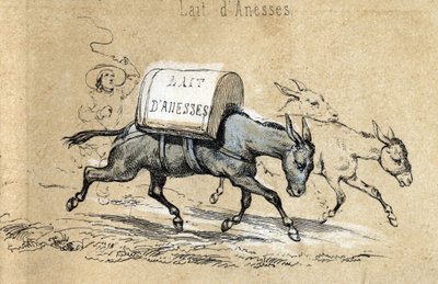 Description of the different products and uses of donkey: donkeys carrying loads of donkey