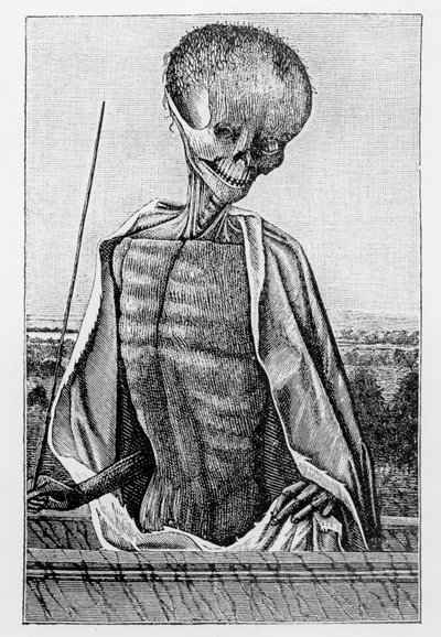 Doctor Death, from a Book of Hours, illustration from Science and Literature in the Middle Ages and the Renaissance, written and engraved by Paul Lacroix, 1878 by French School