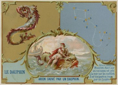 Dolphin - Arion is Saved by a Dolphin by French School