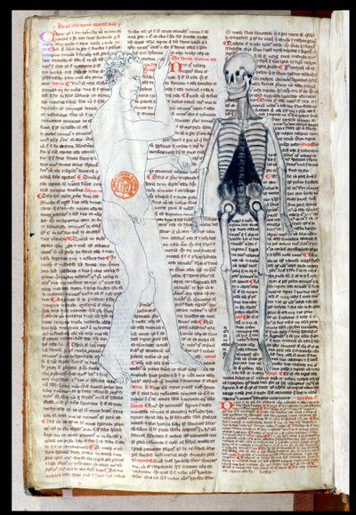 A Man and a Skeleton, from a Medical Treatise by Abul Qasim Khalaf ibn al-Abbas al-Zahrawi (Abulcasis) Translated by Gerard de Cremone by French School