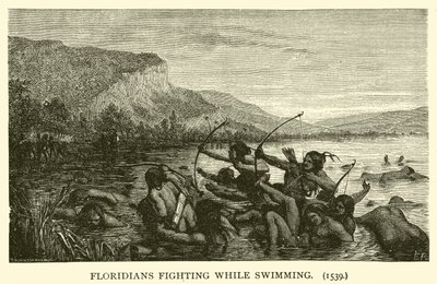 Floridians fighting while swimming by French School
