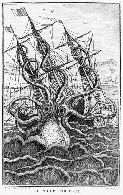 Giant Octopus, illustration from L