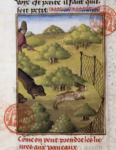 Hare Hunting - in Hunting Book of Gaston Phoebus, Count of Foix, Lord of Béarn by French School