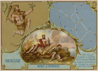 Hercules by French School