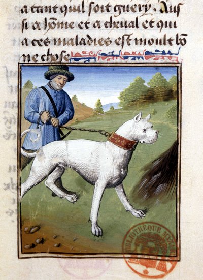 Hunting Dog Held on a Leash - in Book of Hunting by Gaston Phoebus, Count of Foix, Lord of Béarn by French School