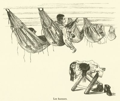 The Hammocks by French School