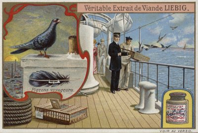 Liebig card featuring pigeons by French School