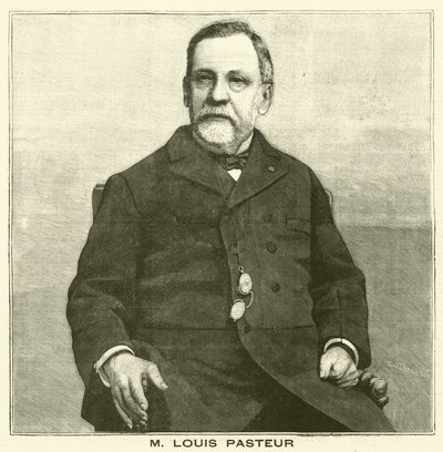 Louis Pasteur, French Microbiologist (engraving) by French School