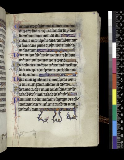 Folio from the Psalter and Hours of Isabella of France, Paris, c.1265-70 by French School