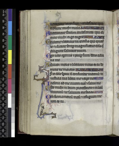From the Psalter and Hours of Isabella of France, Paris, c.1265-70 by French School