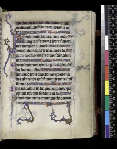 Folio from the Psalter and Hours of Isabella of France by French School