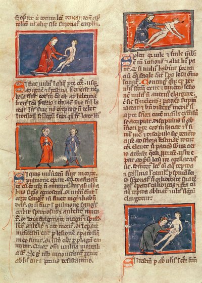 Anatomical figures, from an edition of 