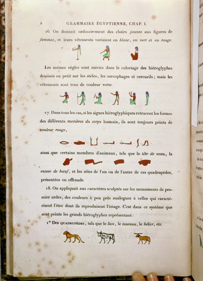 Notes on the Colouring of Certain Hieroglyphs, from Grammaire Egyptienne by Jean Francois Champollion by French School