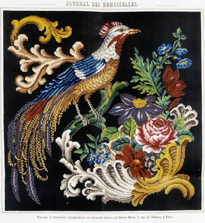 Pattern for cross stitch embroidery (bird of paradise) - in Journal des Demoiselles 1852 by French School