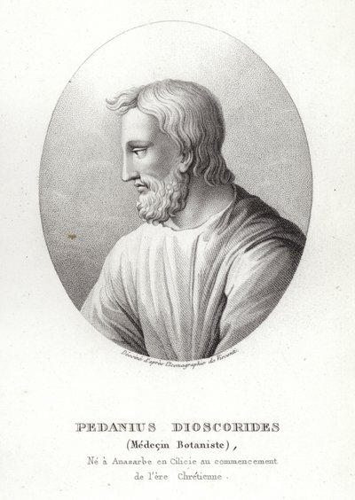 Pedanius Dioscorides by French School