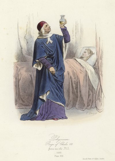 Physician, Reign of Charles VIII of France by French School
