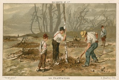 Planting Trees by French School
