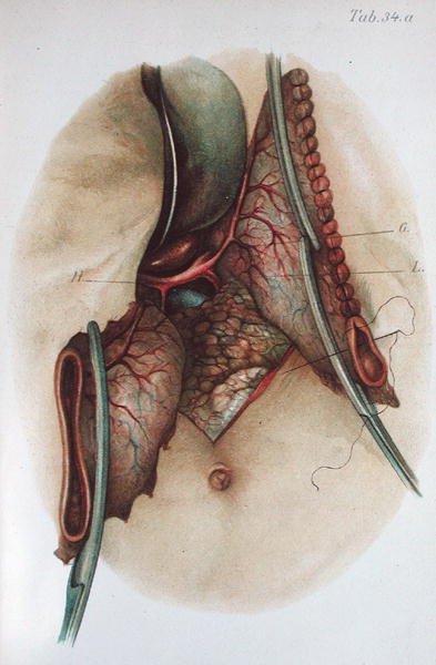 Plate from 