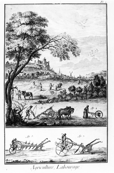 Agriculture and Ploughing (Plate of the Encyclopedia of Diderot and Alembert) by French School
